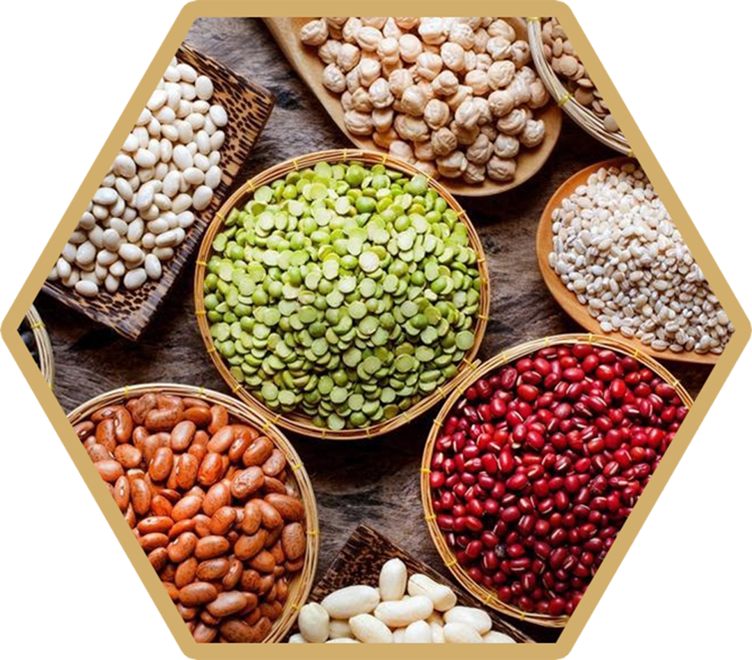 Grains and Pulses